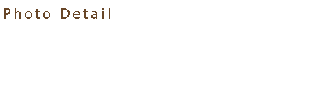 Text Box: Photo Detail
